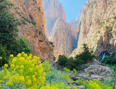 Quadruple Room with Mountain View