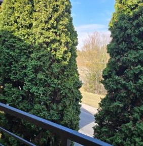 Deluxe Double Studio