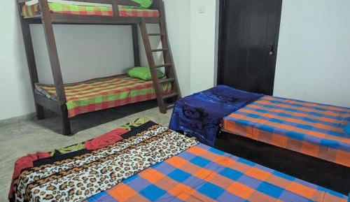 4-Bed Mixed Dormitory Room