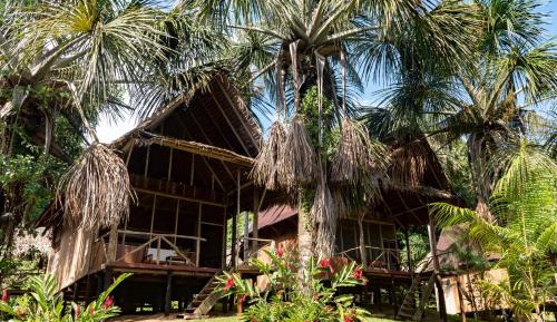 Eco Bungalow 
