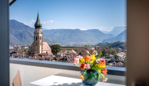 One-Bedroom Apartment with Balcony and Mountain View  