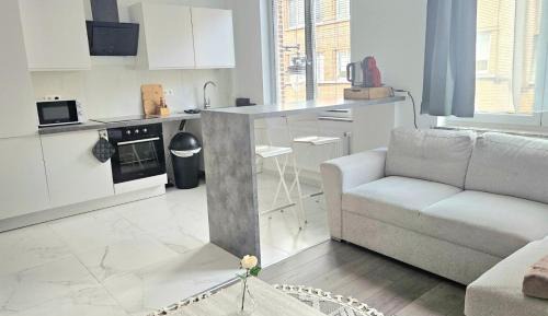 One-Bedroom Apartment with Terrace