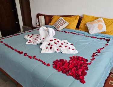 Superior King Suite
