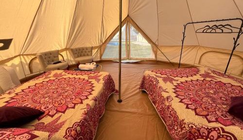 Room #1135308307