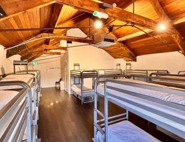 Bunk Bed in Mixed Dormitory Room