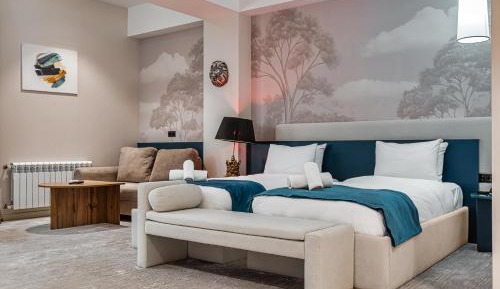 Deluxe Double or Twin Room