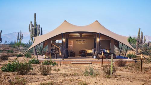 Tent