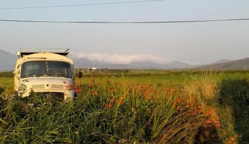 Mobile Home