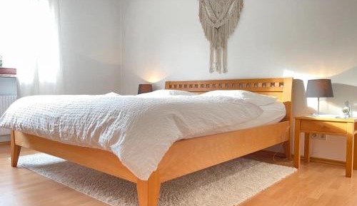 Superior One-Bedroom Apartment with Balcony