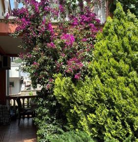 One-Bedroom Apartment with Garden View