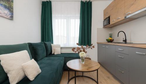 One-Bedroom Apartment with Balcony