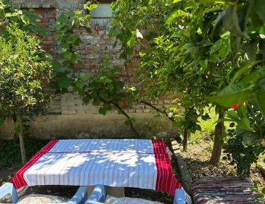 Double Room with Terrace