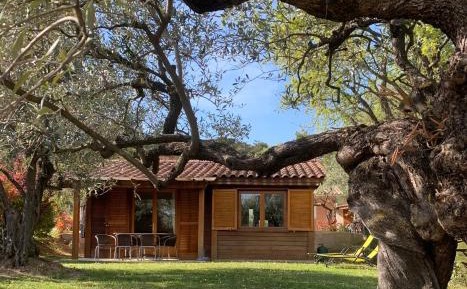 Holiday Home