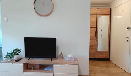 One-Bedroom Apartment with View