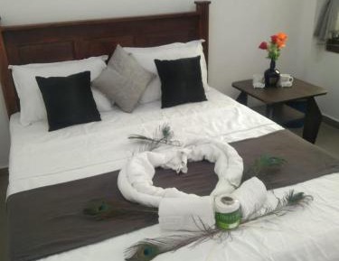 Standard Double Room with Fan