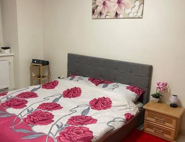One-Bedroom Apartment - Non-Smoking