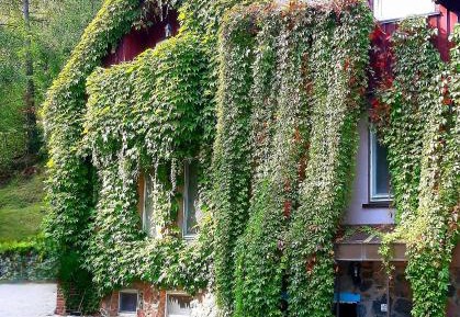 Two-Bedroom Apartment with Terrace