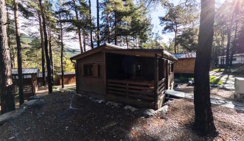 Mobile Home