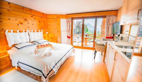 One-Bedroom Apartment with Balcony and Mountain View  