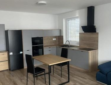 Deluxe One-Bedroom Apartment