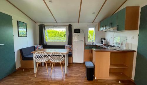 Mobile Home
