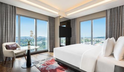 Deluxe King Suite with City View