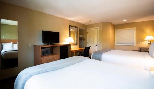 Standard Queen Room