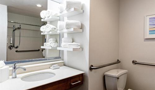 King Room with Roll-In Shower - Mobility and Hearing Access/Non-Smoking
