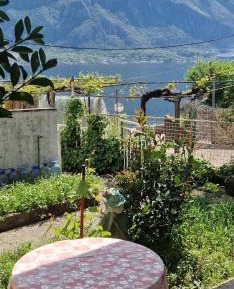 Studio with Terrace