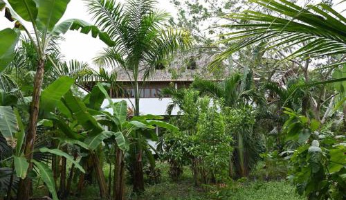 Family Two-Bedroom Apartment with View