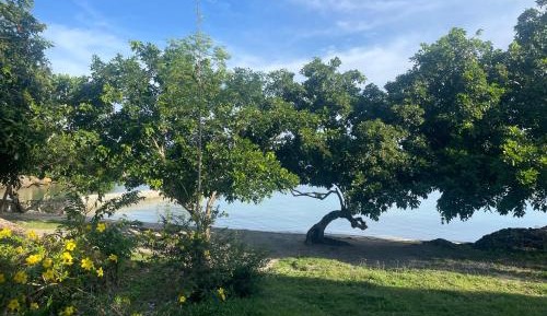 Deluxe Double Room with Balcony and Sea View
