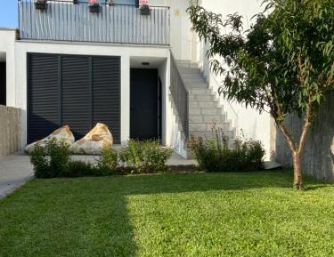 Family Studio