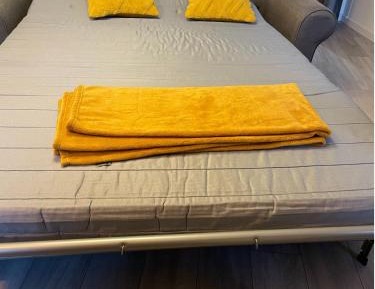 Deluxe One-Bedroom Apartment with City View