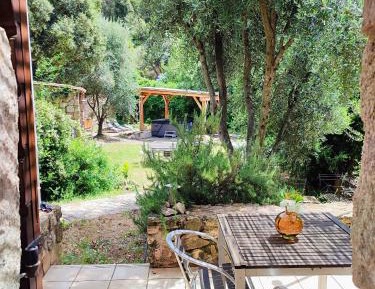 Studio with Terrace