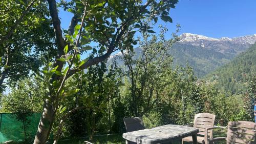 4-Bed Mixed Dormitory Room