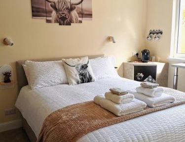 Standard King Room