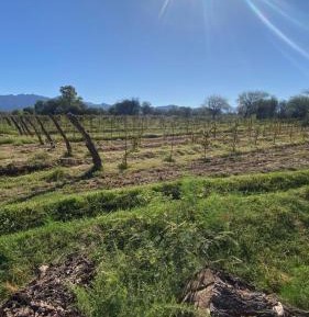 Triple Room with Mountain View