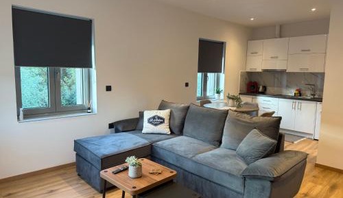 One-Bedroom Family Apartment