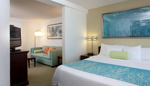 King Suite with Sofa Bed