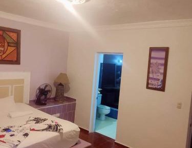 Large Single Room