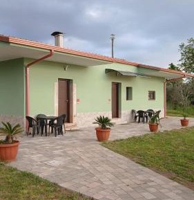 King Room with Garden View