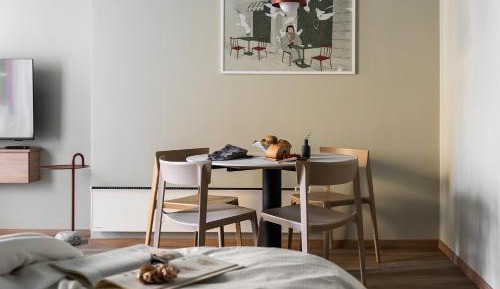 Studio with Sofa Bed