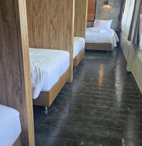Single Bed in Mixed Dormitory Room