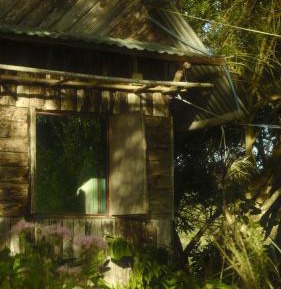 Two-Bedroom Bungalow