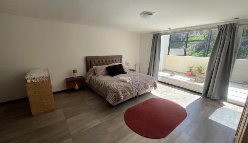 Studio Apartment with King Bed