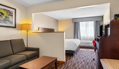 King  Room with Sofa Bed - Non-Smoking