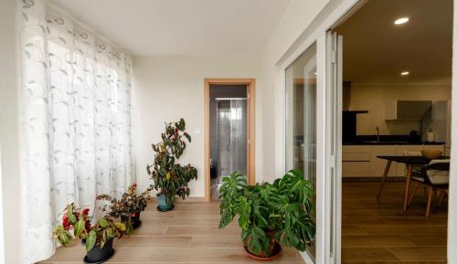 One-Bedroom House