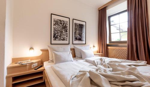 Double Room with Mountain View