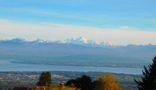 Double Room with Mountain View