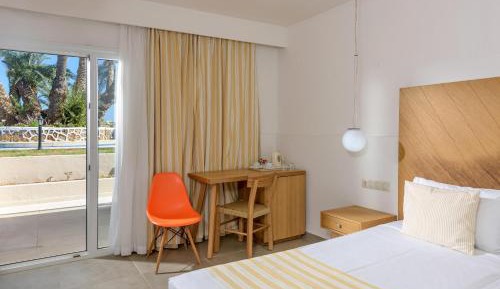 Double or Twin Room with Pool View